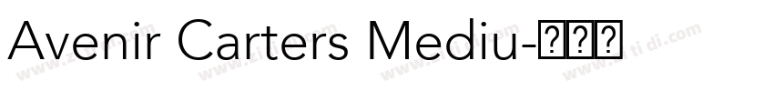 Avenir Carters Mediu字体转换